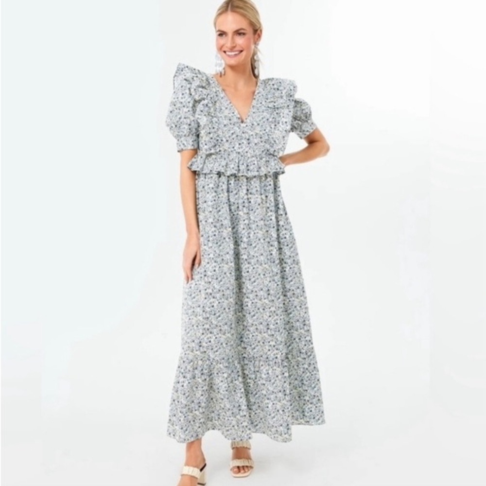 Tuckernuck Hyacinth House Meadow Floral Puff Sleeve Ruffle Dress